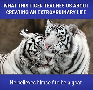 1.8K views · 875 reactions | Is it time to dream a new dream? One...