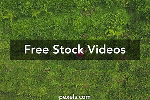 Free The Weeknd Kiss Land Album Download Zip Sharebeast Videos