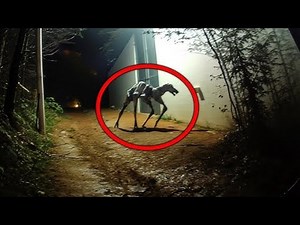 Disturbing Wild Creatures and Cryptids Caught On Trail Cams
