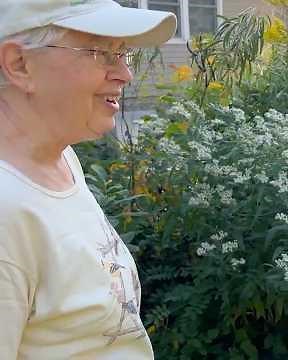Iowa City Lawn Love: Virginia Melroy