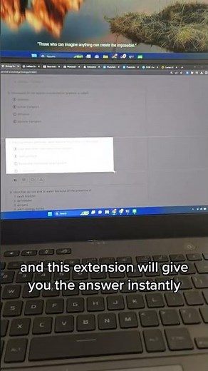 Preply End of Course Test Answers PDF Free Download