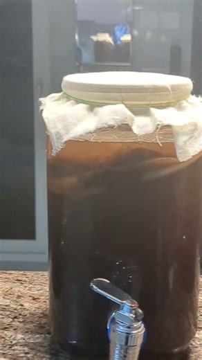 Home-brewed kombucha #kombuchabrewing #kombuchalover #tea #drink