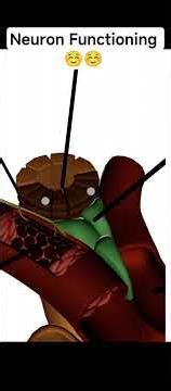 3D Nephron Functioning ☺️#neet #class11