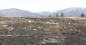 Elmo Fire grows to nearly 13,000 acres; public meeting set