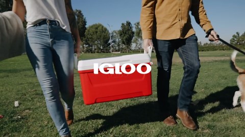 Igloo 48 QT Laguna Ice Chest Cooler, Red, 1 Count and Freez Pak Large Ice Pack, 1 Count