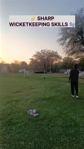 Sharp Wicketkeeping Catch Practice Training#cricket#wicketkeeping #catchpractice#cricketreels#reels