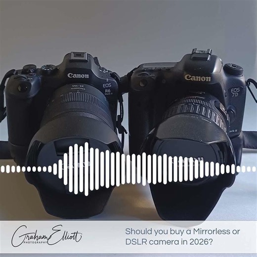 Should you buy a DSLR or Mirrorless Camera in 2026? #photographytips #cameragear #dslr #mirrorless