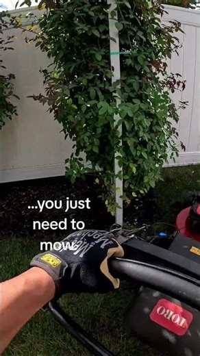 Boom. Just mow. The fastest way to fix your mood and your yard. #toro @toro#Lawncare #Yard #fyp #diy