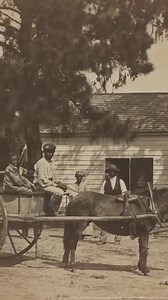 1.2K views · 83 reactions | #OnThisDay in 1787, the United States...