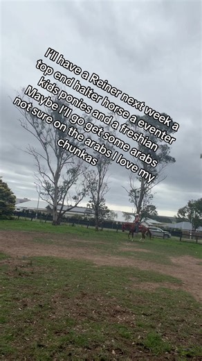 Top Horse Breeds for Western Pleasure Training