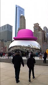 Chicago Bean | Beazley