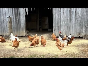 Tennessee Homesteading