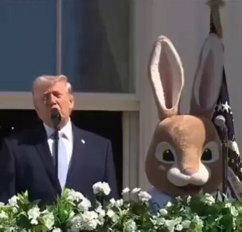 LMFAO.Imagine the psychology of this... Your generals...those hollow-eyed fanatics who’ve spent decades jerking off to fantasies of asymmetric “victory” through proxies, human shields, and apocalyptic martyrdom...staring slack-jawed at the screen. One minute they’re briefing on IRGC suicide swarms and hypersonic delusions; the next, they’re watching the leader of the free world casually promise obliteration while a pastel rabbit stands sentinel like it’s auditioning for the role of Grim Reaper’s