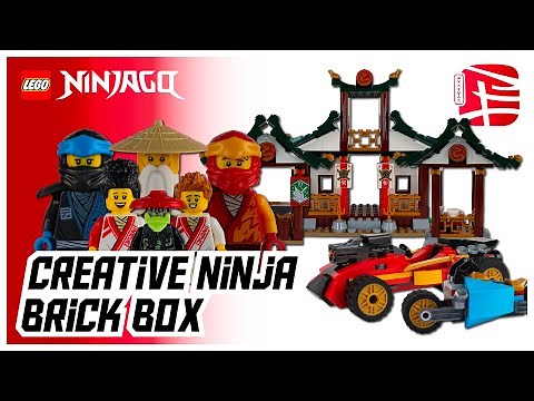 LEGO Ninjago 71787 Creative Ninja Brick Box (2023) Early Review