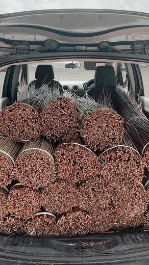 3.3K views · 26 reactions | When anyone asks me where I get my willow...