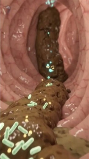 What happen to food in your body 😲
