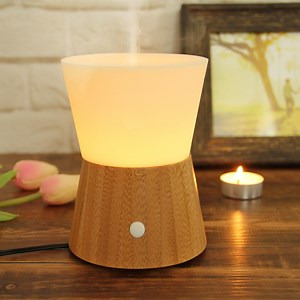 [Hot Item] Ultrasonic Humidifier 100ml Essential Oil Aroma Diffuser