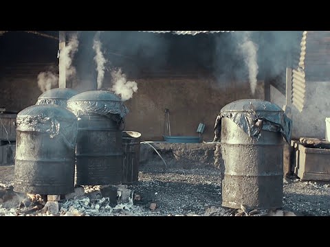 Mizo Phyll 'Nga Nkani'