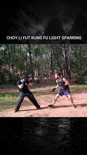 Kung Fu vs Street Fighter 🔥 Real Sparring!