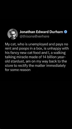 Stardust serves the cat | Subscribe for more #motivation