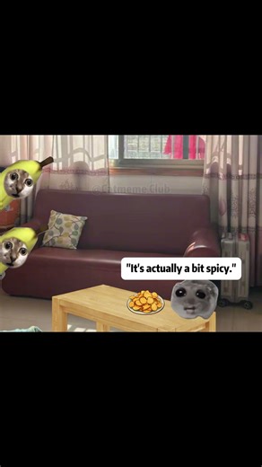 When a Mouse Steals Your Snacks One Too Many Times 😂🐱#catmemes #catmeme2025