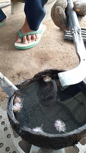 The heat-treating (hardening) process of a rubber tapping tool — a traditional blacksmith technique to increase strength, sharpness, and durability. #Blacksmith #HeatTreatment #ToolHardening #RubberTappingTool #HandForged #TraditionalCraft #MetalWorking #PandaiBesi #ManualProcess #Craftsmanship #senikerajinan #kerajinantangan | Tuti Yanto