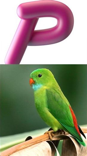 ABC Learning for Kids | A Apple B Boy C Cat | A to Z Alphabets Kids Learning | A to Z Words #abcd