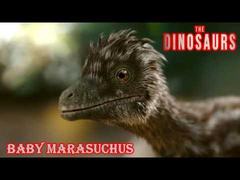 the dinosaurs baby marasuchus screen time