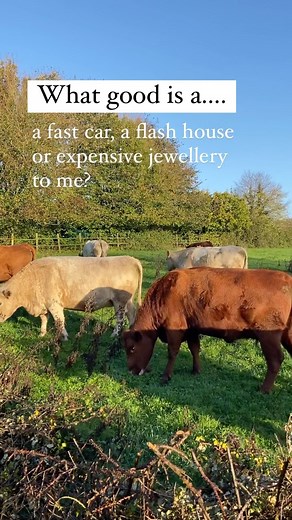 💍 💎 💰 ⛔️ The pursuit of material wealth and status is a hollow one. ✨ Find your purpose and you’ll no longer desire the money and the “things” (apart from what you need to help you you achieve your goals). #consciousliving #homesteadliving #smallholdinglife #traditionalliving #thegoodlife #livingofftheland #livingsimple #exitthematrix | Wild Minds