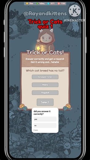 Trick or cats quiz 1, cats and soup #catsandsoup #shortvideo #catsoup #feedshorts