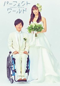 Perfect World - streaming tv show online