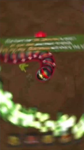 👑 KING vs KING 🔥 Little Big Snake EPIC Battle | Who Won?