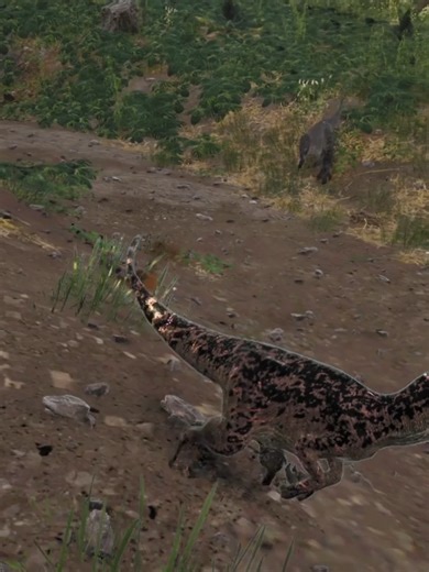 Exploring the Fascinating Black Devon Rex Breed