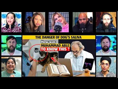 This Scientist Converted to Islam After Researching Dog's Saliva|Non-Muslims & Revert Reactions