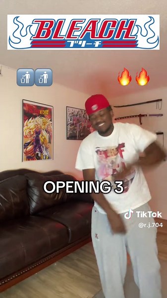 Bleach Anime Opening Rankings - Best Themes Explored