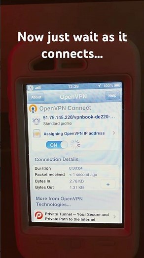 How to get a working VPN on iOS 6 (FIRST VID OF 2025!!! 🎉) #tech #apple #iphone3gs #ios6 #openvpn