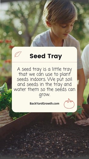 🌿🌱 Seed trays are a versatile and essential tool for gardeners looking to start seeds indoors and get a head start on the growing season. 🌼🌱 These trays are typically made of durable plastic and come in a variety of sizes, with each tray containing multiple compartments or cells. 🌻🌿 🍃🌸 Seed trays are designed to provide the ideal environment for seed germination and seedling growth. 🌿💚 The individual compartments help keep seeds separate, prevent them from becoming overcrowded, and mak