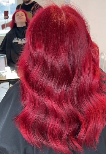 Sean Di Pasqua on TikTok