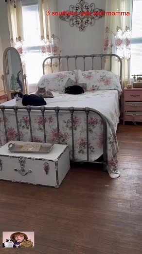 4.8K views · 295 reactions | Car keys in a bowl party #3southerncatsandmomma #catsoftiktok #3southerncats | Kristi Cates | Facebook