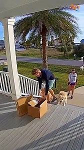 5.5M views · 112K reactions | Traffic jam on the porch!  #reels #securitycamera #fail | America's Funniest Home Videos | Facebook
