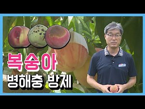 Peach pest control
