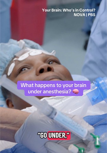 How Anesthesia Disrupts Brain Communication