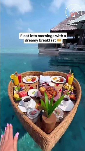 Top Things to Do in Maldives | Dolphin Sighting, Snorkeling, Jet Ski & More