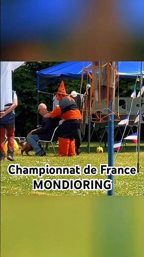 📍Whoever rubs against it, gets stung 🦈 highlights of my Malinois at the MONDIORING championship