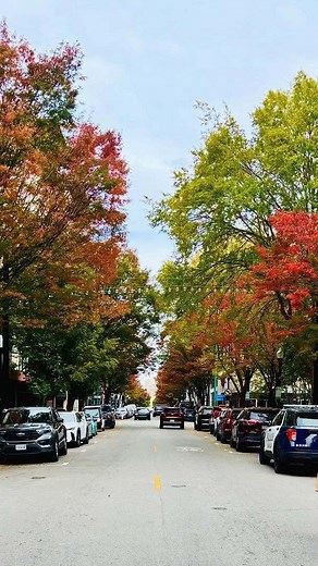 Lots of events this weekend in Norfolk, VA! #visitnorfolkva🧜‍♀️ 📸 @wanderwithnelly | VisitNorfolk
