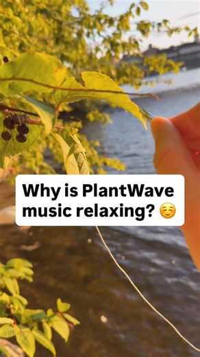 1.8K views · 1.2K reactions | Why is PlantWave music relaxing? When...