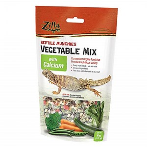 The Best Treats For Bearded Dragons - Pet Food Guide