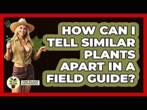 How Can I Tell Similar Plants Apart In A Field Guide? - The Plant Enthusiast