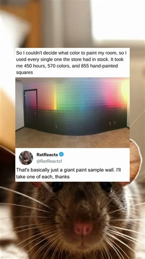 Creating A Giant Paint Sample Wall In Your Bedroom Took Over Five Hundred Colors