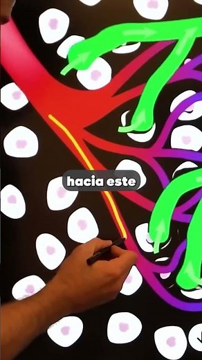 Del Corazón a la Célula: Sistema linfático!